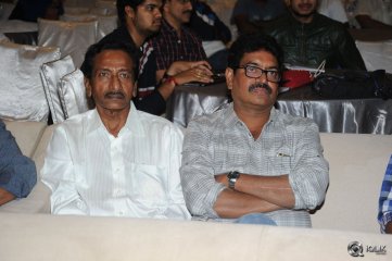 Malupu Movie Audio Launch